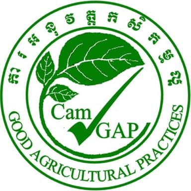 our partner